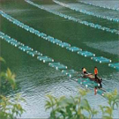 淡水养殖专业