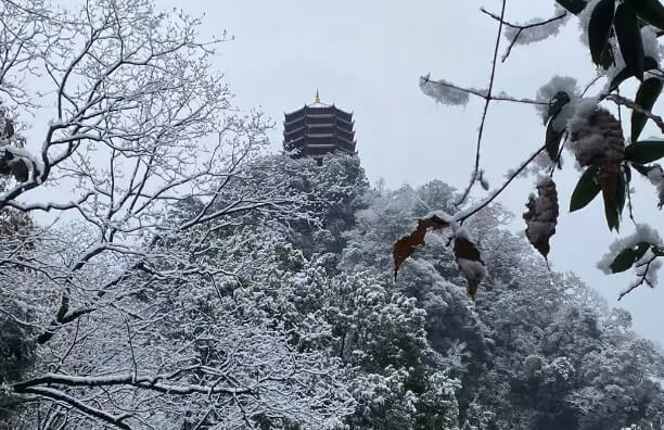 成都佳兴外国语学校