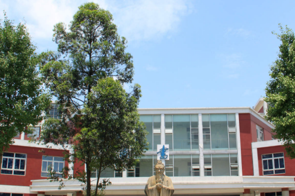 四川托普计算机职业学校招生
