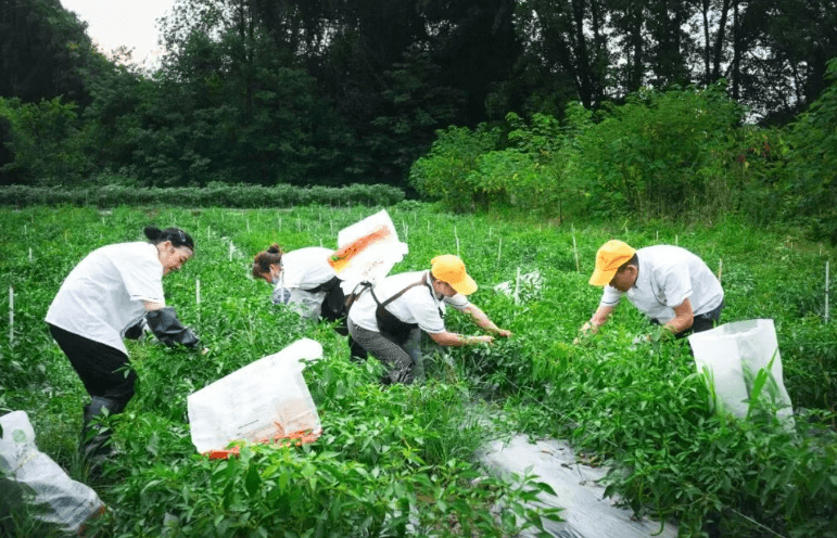 成都华商理工职业学校 成都华商理工职业学校