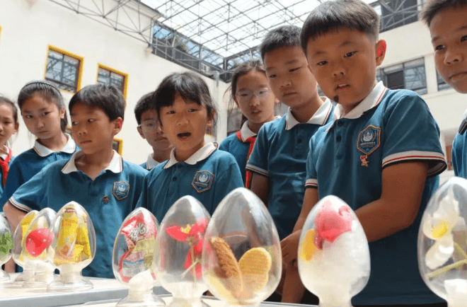 成都市金牛区协同外语学校