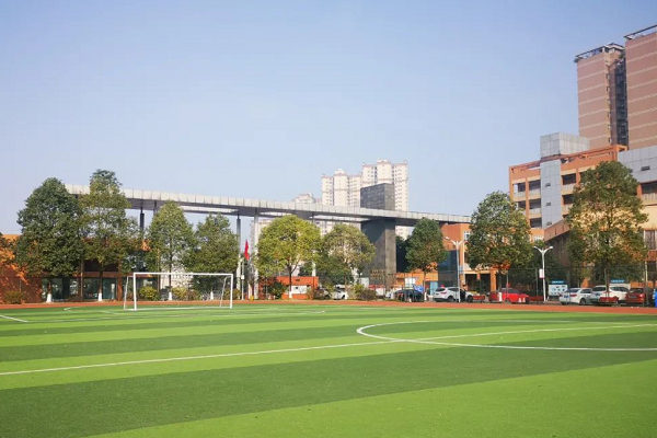 眉山实验高级中学是公办还是民办学校