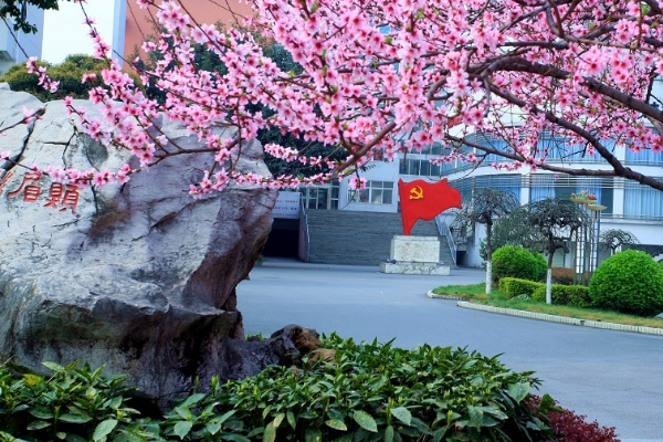 江油中学招生计划