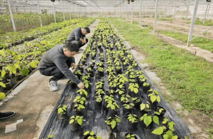 达州职业技术学院 达州职业技术学院