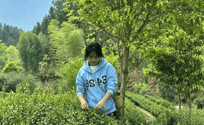 川师附中寿安中学