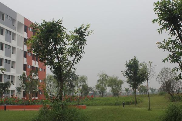 眉山育英实验学校