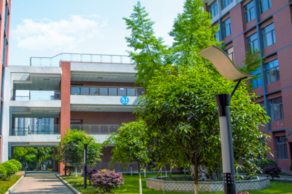 托普计算机职业学校招生