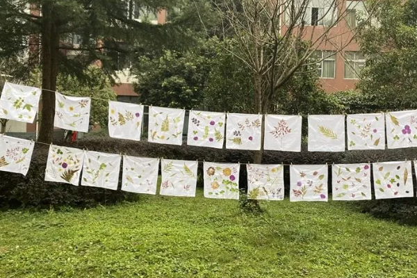 蒲江县职业中专学校