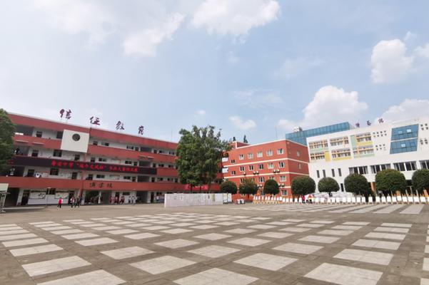 蒲江寿安中学普通高中如何