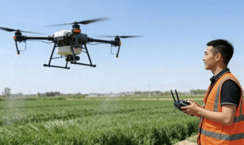 双流区综合高中