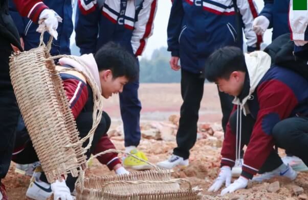 北外附属东坡外国语学校