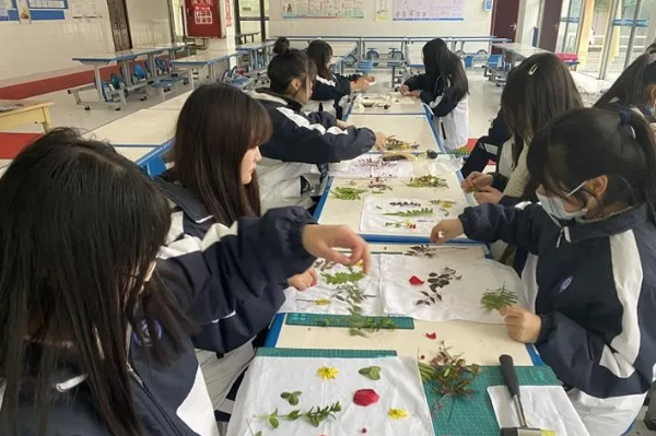 四川蒲江县职业中专学校
