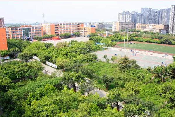 四川艺术职业学院